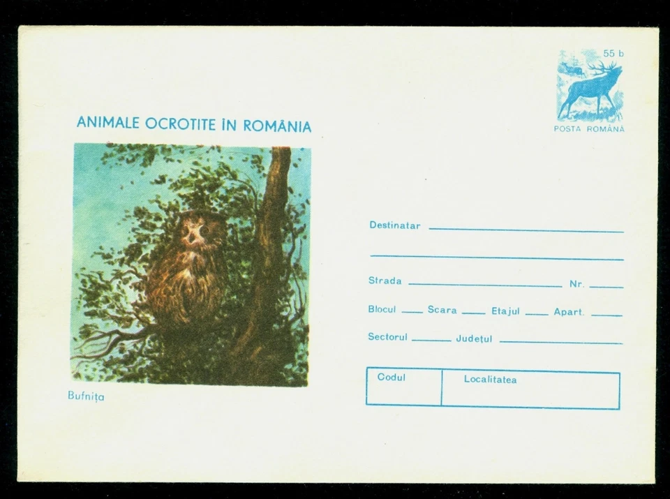 1977 El búho, búho, aves y animales protegidos, Rumania, cubierta Foto 1 de 1