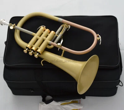 Professional NEW Bb Flugelhorn Satin Matt By WEIBSTER Musical quality FLUGEL - Image 1 of 4