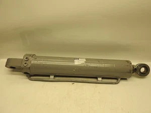 Nuevo Cilindro Hidráulico Genuino Teupen 035.38.23 203409 23-45001/19 Recubrimiento Cyli - Imagen 1 de 10