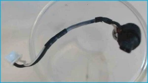 Micro Mikrofon Kabel Cable Latitude C600/C500 PP01L - Picture 1 of 1