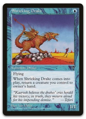 Shrieking Drake (NM) Visions VIS Magic MTG - Image 1 of 2