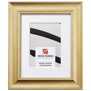 Craig Frames 1.75" Contemporary Brushed Gold Picture Frames With a Single Mat - Picture 1 of 10