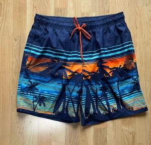 Rokka & Rolla Men’s Size Large L Swim Trunks Shorts Mesh Lined Quick Dry - Picture 1 of 5