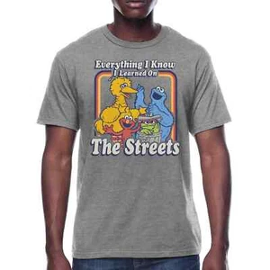 Sesame Street Short Sleeve Men's Graphic Crew Neck Relaxed Fit T-Shirt, Size L - Picture 1 of 3
