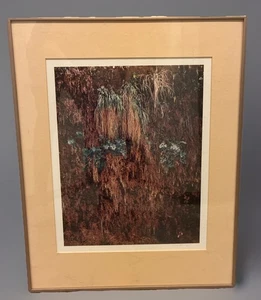 Fotografía de Bellas Artes RARA Enmarcada y Firmada CHUCK HENNINGSEN - SERIE ZEN - 16"×20" - Imagen 1 de 6