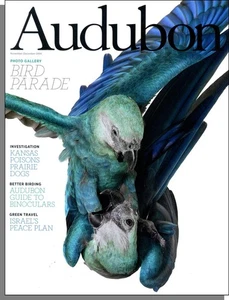 Audubon - 2009, November - Birds and Hayfields, Binoculars, Dead Sea & Birds - Picture 1 of 2
