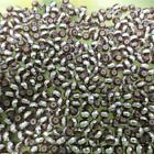 100 Brown and Silver Glass Seed Beads 4mm