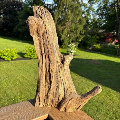 Hardwood Driftwood 16x7x14 – Solid Wood for Reptiles, Decor, or DIY Display - Image 1 of 4