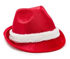 Sombrero de Santa Fedora, se siente como terciopelo con banda de piel blanca alrededor del ala - NUEVO - Imagen 1 de 3
