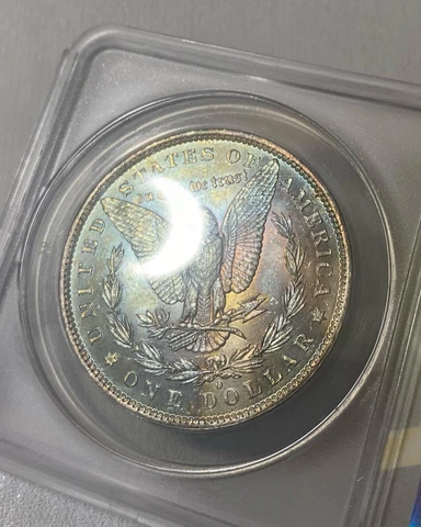 1884 O MS63 Morgan Silver Dollar ANACS Graded TONED Cover