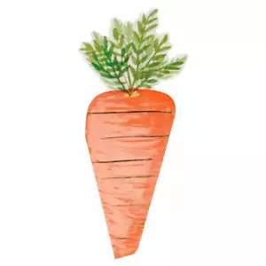 Carrot Shaped Napkins Pack of 16 Green Orange Food Party Garden Salad BBQ Veg - Picture 1 of 1