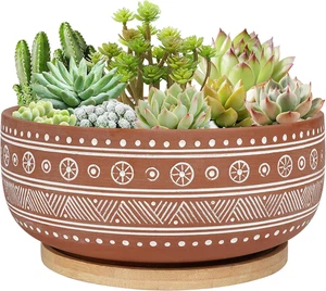 8 Inch Terracotta Succulent Planter Pot with Drainage Hole and Bamboo Tray, roun - Picture 1 of 12