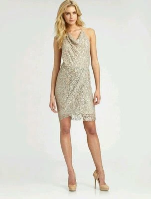 $695.00 Haute Hippie Grey Lace Mini Dress Size Medium Silk Blend New TAG - Image 1 of 3