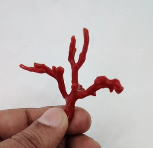 Natural Coral Branch Gemstone Rough Italian Sea Coral Polished Loose Rough Coral - Picture 1 of 14