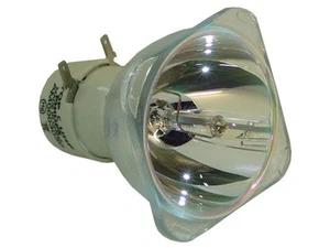 PHILIPS Beamerlampe für BENQ 5J.J9V05.001 - Photo 1/1