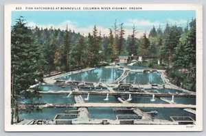 Fish Hatcheries Bonneville Columbia River Highway Oregon Postcard - Picture 1 of 2
