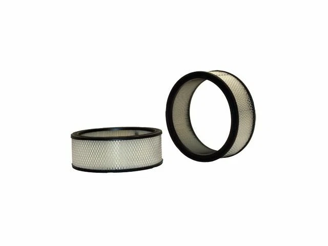 Filtro de aire WIX para GMC P25 1975-1978 5,7 L V8 49PJFM Foto 1 de 1