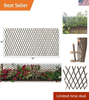 Panel de enrejado de celosía de sauce real - Soporte expandible para enredaderas y rosas Foto 1 de 4