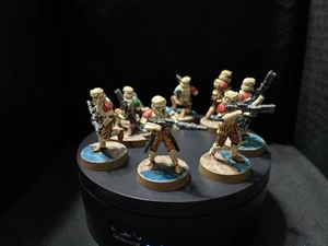 Pro Painted Star Wars Legion Shoretroopers with all Components included. - Picture 1 of 8