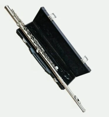 专业行军乐队学生/中级银色音乐会长笛 - C 钥匙,开箱 — 第 1/4 张图片