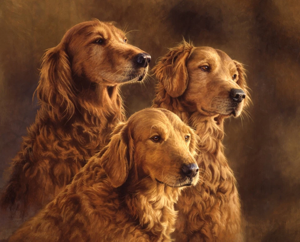 DAVID TEXTILES, INC. 35" Fabric Panel | David Textiles Digital 3 Generations Golden Retriever Dog