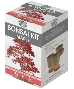 Mr Fothergill's Bonsai Seeds Japanese Maple All-In-One Starter Growing Kit - Picture 1 of 2