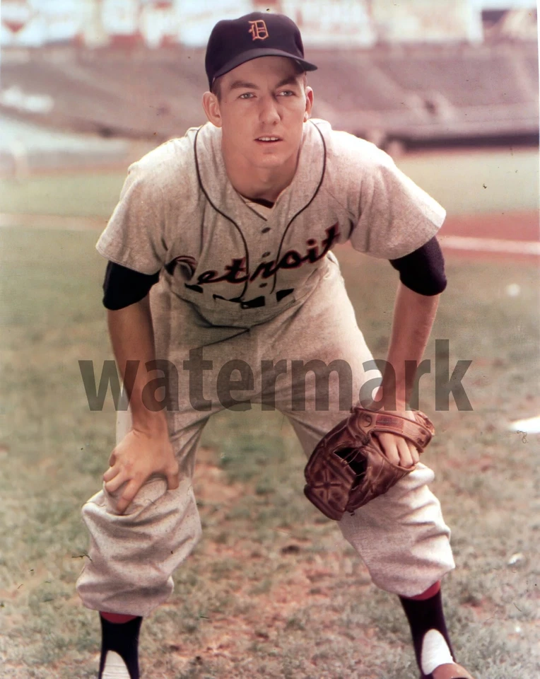Al Kaline - Tigres, foto a color 8x10 Foto 1 de 1