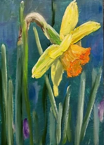 Original oil Painting, DAFFODIL 5x7" Schelp - Picture 1 of 1