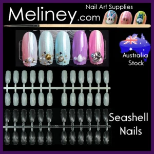 Seashell Nails Full Cover Decoration Oval Tips False Gel Acrylic Long Display - Bild 1 von 9