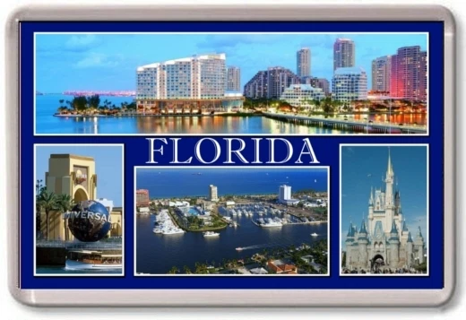 FRIDGE MAGNET - FLORIDA - Large - USA TOURIST - Image 1 of 1