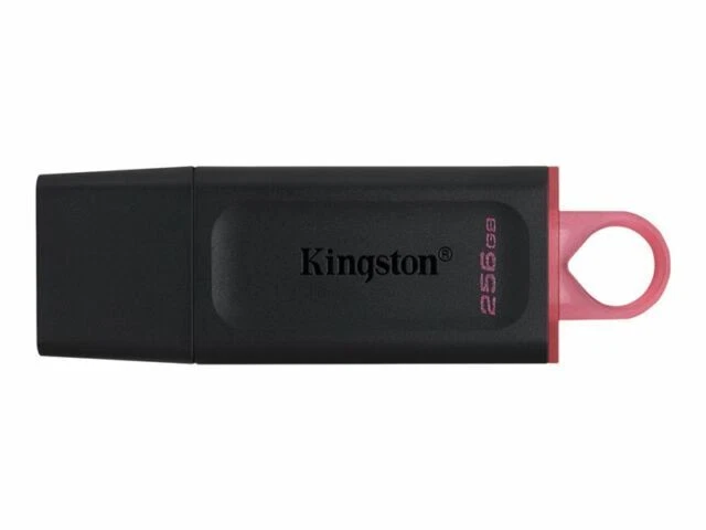 Kingston DataTraveler Exodia 256 Go Lecteur Flash USB - DTX/256GB - Photo 1/1