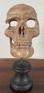 Antique Memento Mori Terracotta Carved Skull 19th Century Victorian Head Figure - Picture 1 of 12
