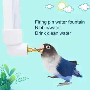 1 Set 130ml Parrot Water Dispenser Stable Feed Pet Bird Parrot Hanging Food - Picture 1 of 11