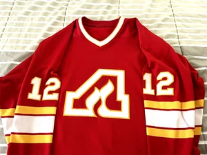 Atlanta Flames Tom Lysiak Mitchell And Ness Jersey Size XL - Picture 1 of 10