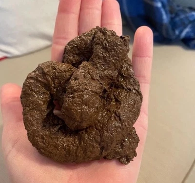 ALTA CALIDAD Falsa Caca de Perro Caca Realista Perrito Doo Suciedad Broma Mordaza Pila de Mierda Foto 1 de 3