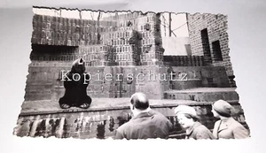 Zoo Leipzig 1966 Frauen vor Bärenankage Bär Gehege Käfig Tiere Ausflug Foto 60er - Bild 1 von 2