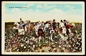 Vintage Postcard - Picking Oklahoma Cotton - ca. 1920s - Picture 1 of 2