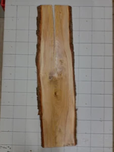 1x Eiche Bohle Brett FRISCH Holz Baumkante Riss epoxid DIY Schneidebrett Regal - Bild 1 von 6
