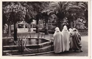 uralte AK Maroc Marokko Casablanca Un Coin du Parc Lyautey Photo-AK //31 - Foto 1 di 1