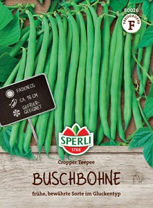 Buschbohne 'Cropper Teepee' - Phaseolus vulgaris, Bohnen Samen, 80026 - Bild 1 von 2