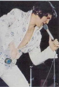 Foto / Kaart muziek: Elvis (02) - Bild 1 von 1