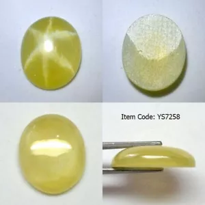 9.10 Ct 15.4x12.6 MM Yellow Star Sapphire 6 Rays Lab Corundum YS7258 - Picture 1 of 5