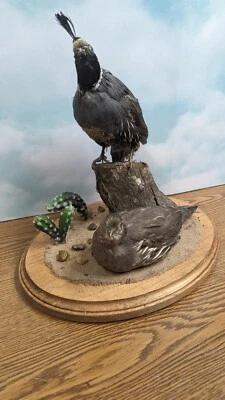 Перепелиная диорама - Изображение 1 из 4