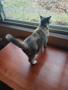 test glaze , 125 grams .... Ceramic & Glass Supply, various Rare Earths. the one - Picture 1 of 1