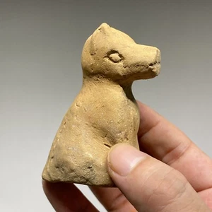 Perro de cerámica de la antigua dinastía Tang china C22 - Imagen 1 de 6