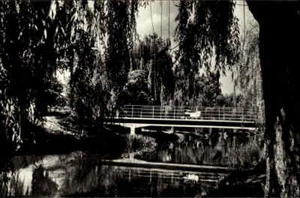 Békéscsaba UNGARN Postkarte Postcard unused Strassen Partie mit Brücke Bridge - Picture 1 of 2