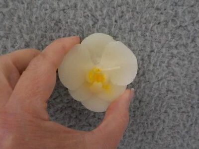 VELA FLOTANTE PERFUMADA FOREVER FLORALS BAÑO ORQUÍDEA BLANCA NOCHE ROMÁNTICA NUEVA EN PAQUETE Foto 1 de 4