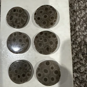 6 Beautiful Petoskey stone Disks - Picture 1 of 4