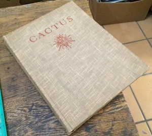 CACTUS 1935 First - A J Van Laren Color Illustrations LTD/NUmbered - Picture 1 of 4