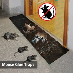 Mouse Glue Traps 8 Packs Large Glue Traps for Mice and Rats Indoor Sticky Traps - Picture 1 of 10